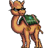 DeFi camel 